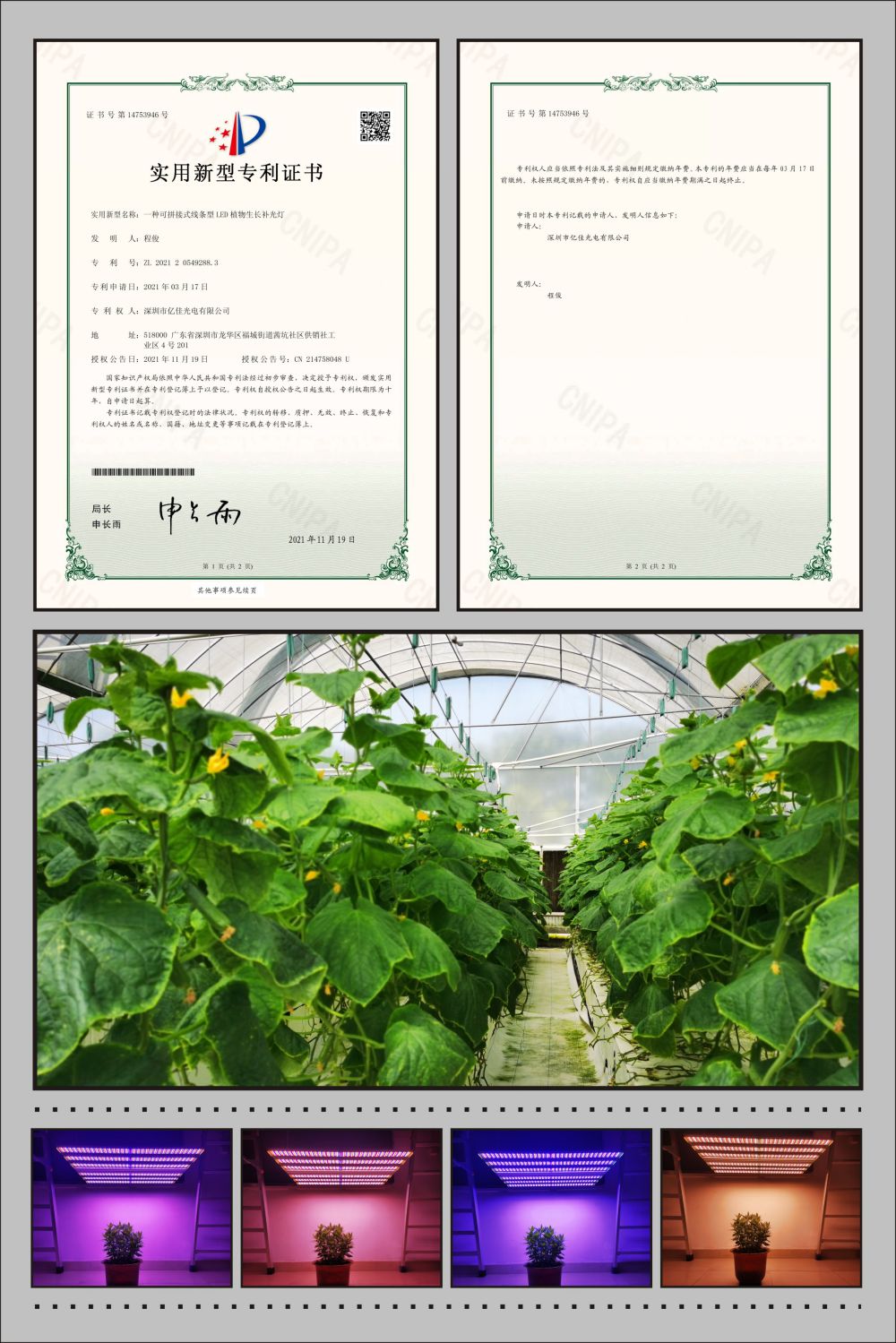KY开元集团植物农场灯实用新型专利